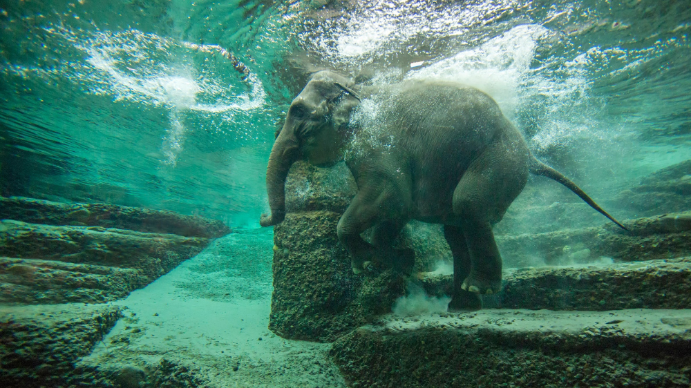 Untitled (1000 x 562 px) (3)