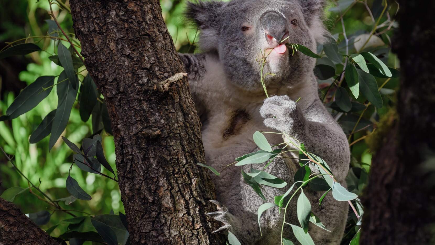 l-nz9-4694-bearbeitet